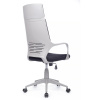 Кресло Ай Кью РВ RCH 8989 (серый пластик)