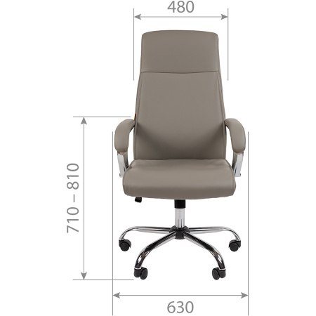 Офисное кресло CHAIRMAN CH425