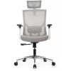 Кресло Степ RCH AW2320