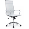 Кресло Riva Chair 6001-1SЕ Кресло Riva Chair 6001-1SЕ