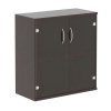 Шкаф для документов СТ-3.2