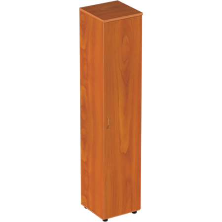 Шкаф для документов Р.П-3 узкий высокий с дверью  Шкаф для документов Р.П-3 узкий высокий с дверью