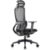 Кресло Скилл RCH 6245AX