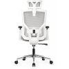 Кресло Степ RCH AW2320